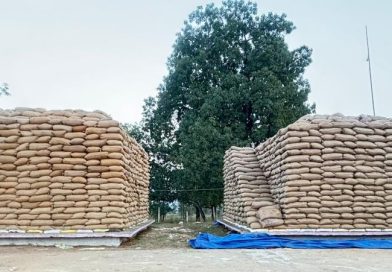 किसान सम्मान का स्वर्णिम दौर – जिले में अब तक 41 हजार क्विंटल से अधिक की धान खरीदी पूरी